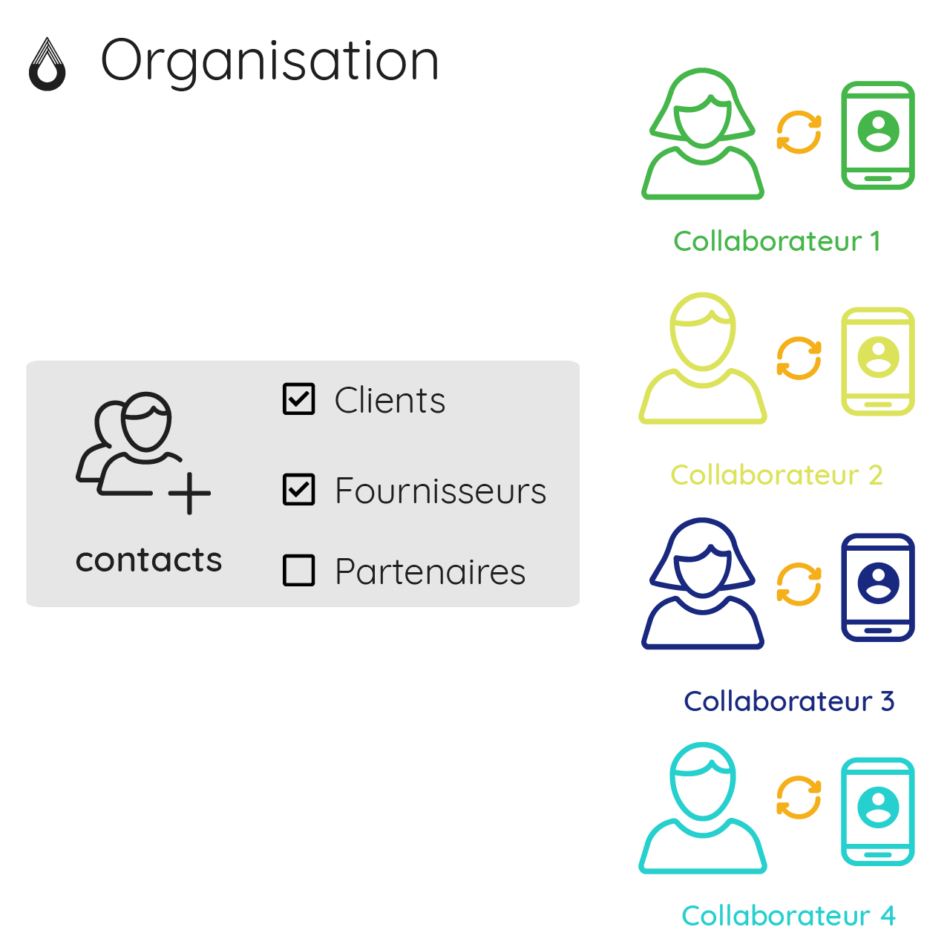 Schéma Contacts